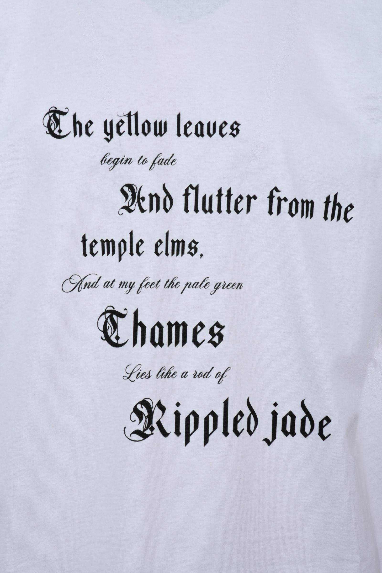 ALEXANDER MCQUEEN - T-SHIRT AND POLO