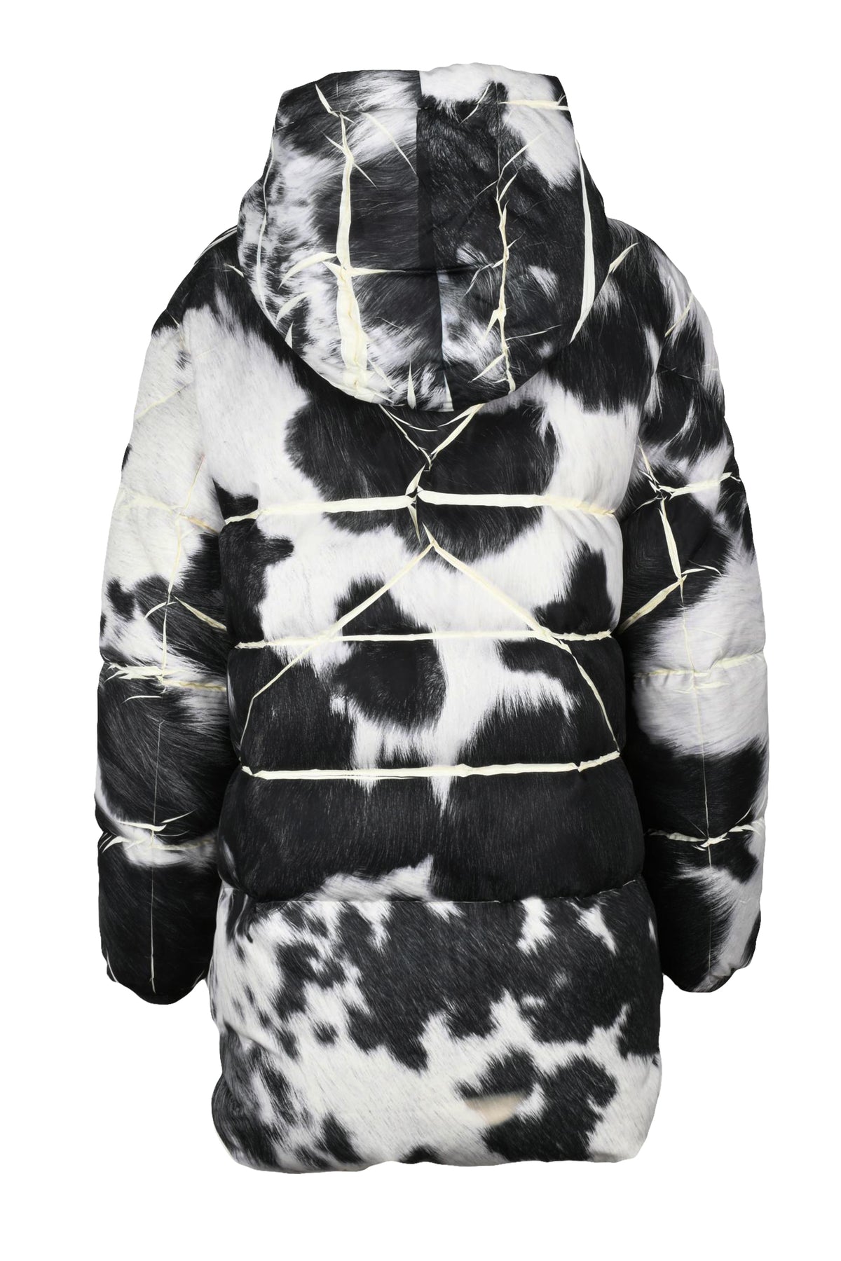 PLUS - OUTWEAR JACKETS
