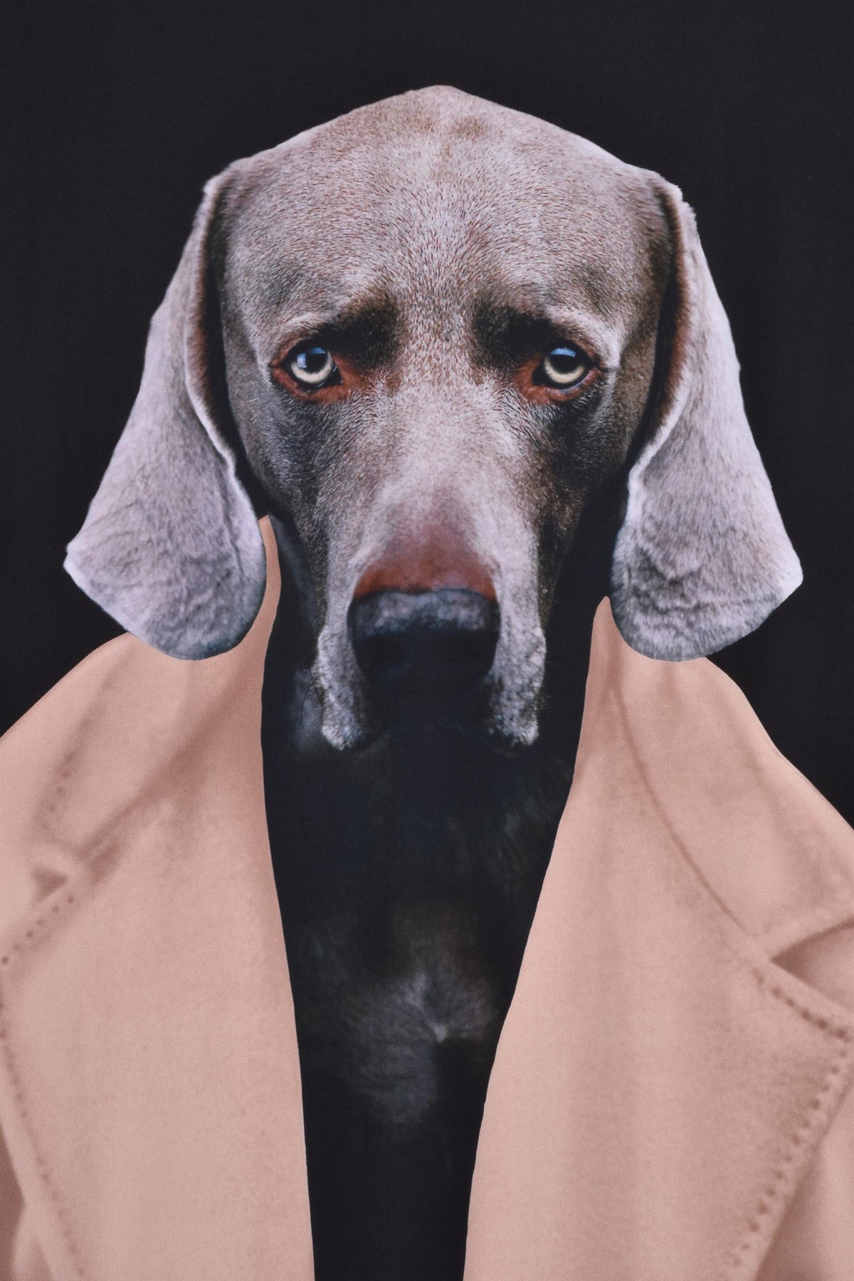 MAX MARA - KNITWEAR AND SWEATSHIRTS