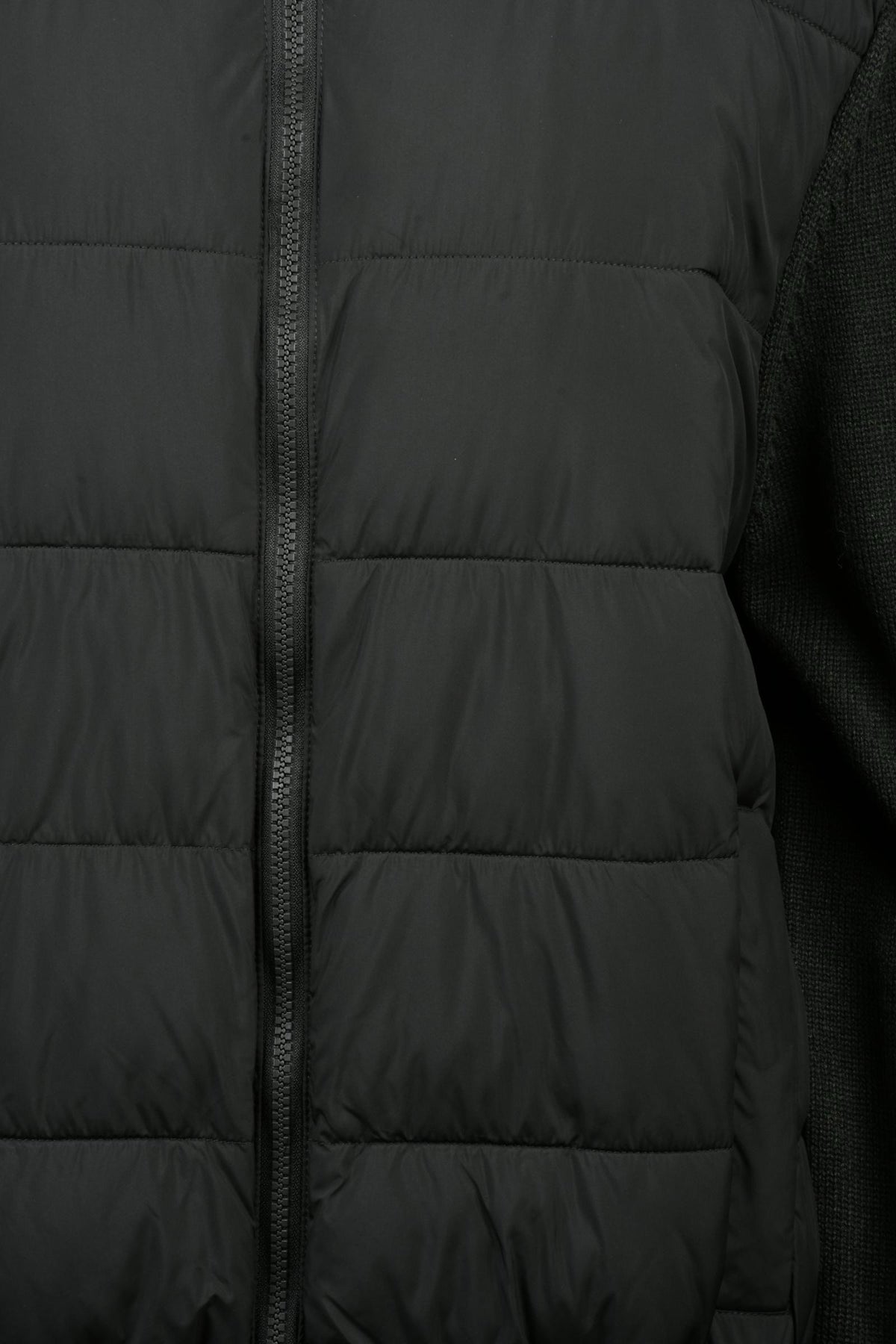 CONTE OF FLORENCE - OUTWEAR JACKETS